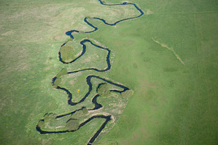 Klingavälsåns meandring ©Johan Hammar/Ekologgruppen