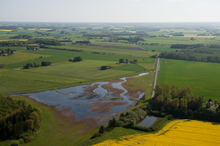 Nyskapad vattenmiljö ©Johan Hammar/Ekologgruppen