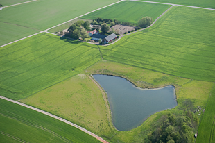 Nyskapad vattenmiljö ©Johan Hammar/Ekologgruppen