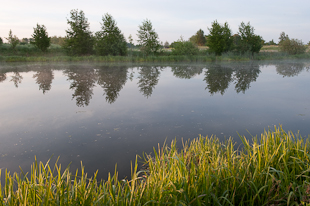 Nyskapad vattenmiljö ©Johan Hammar/Ekologgruppen