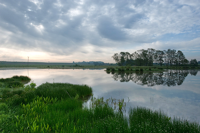 Nyskapad vattenmiljö ©Johan Hammar/Ekologgruppen